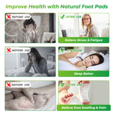 Natural Detox Foot Patch – Overnight Toxin Cleanse Pads